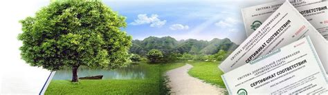 Экологические стандарты в промышленности: важность и применение