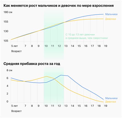 Как «МойОфис» переживает кризис: падение доходов и рост убытков за год