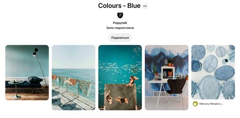 Казахстан усиливает контроль: что известно о проверках финансов семи популярных блогеров