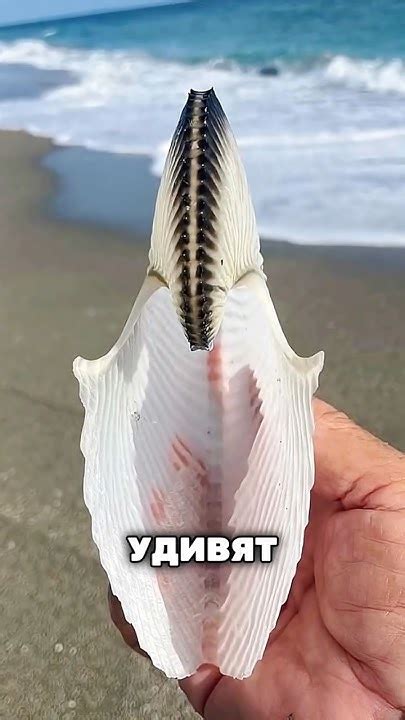 Необычные факты, которые удивят каждого: собрали самое интересное