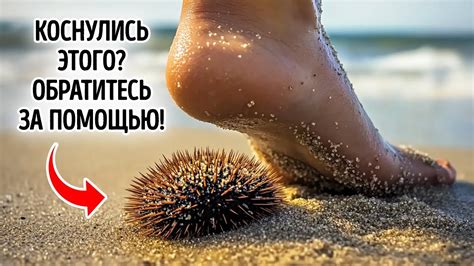 Необычные факты, которые удивят любого