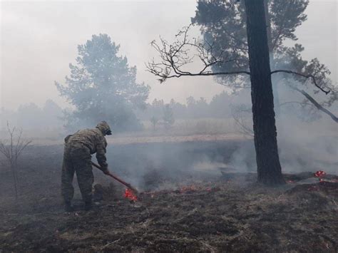 Передовые технологии службы МЧС: как Подмосковье борется с природными пожарами