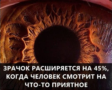 Самые интересные факты со всего мира, которые вас удивят